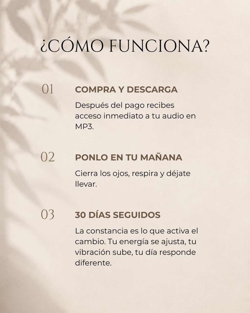 Audio del Elevador
